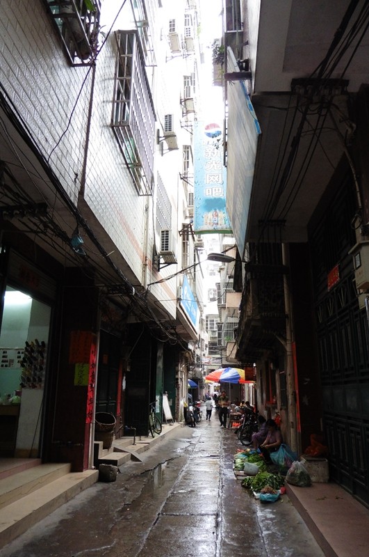 P1000103.jpg