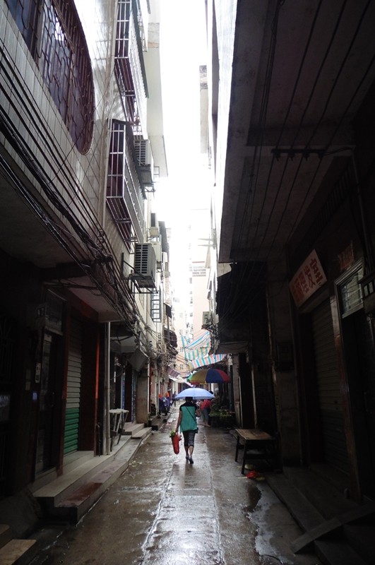 P1000104.jpg