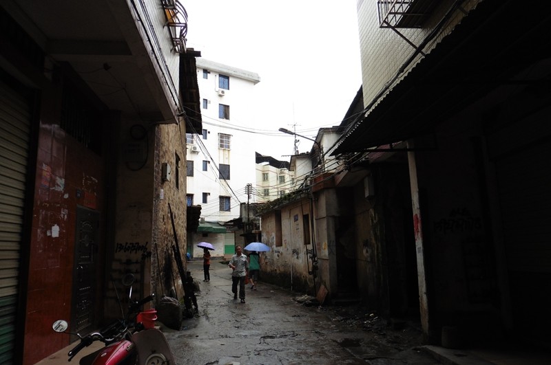 P1000105.jpg