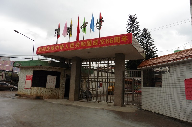 P1000108.jpg