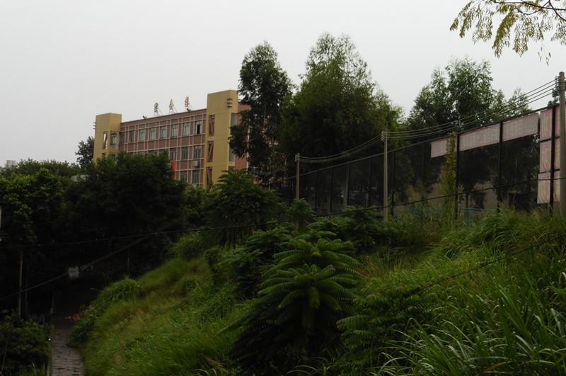 P1000110.jpg