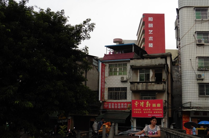 P1000116.jpg