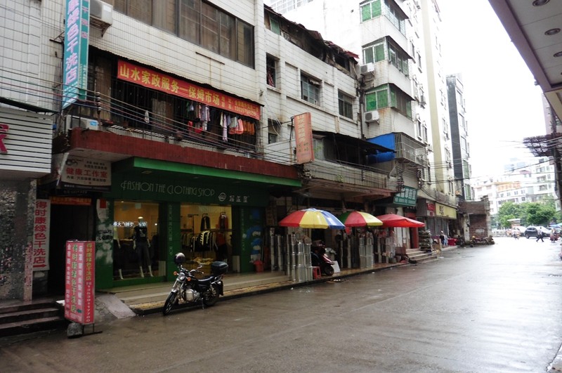 P1000133.jpg