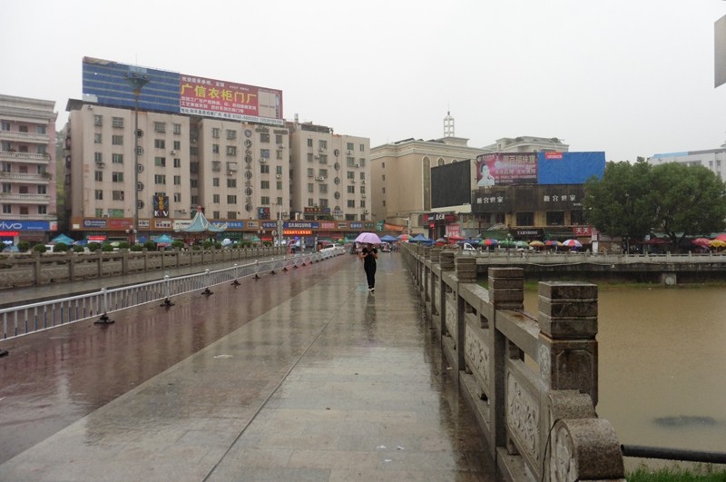 P1000142.jpg