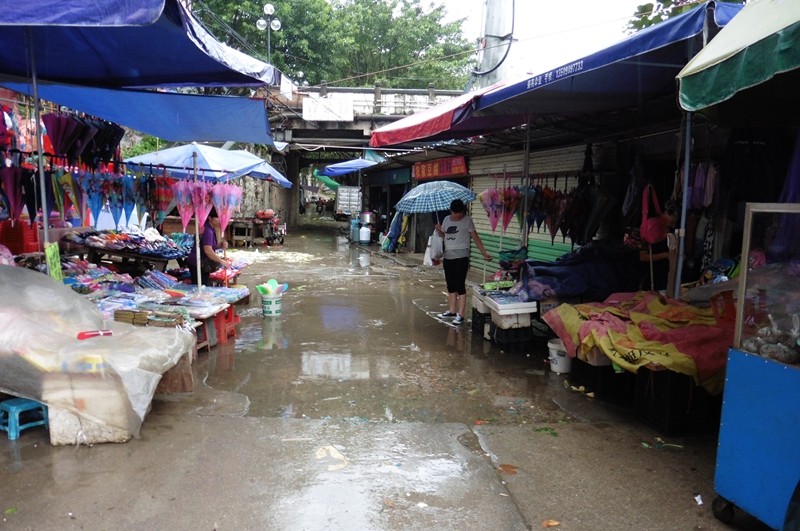 P1000146.jpg