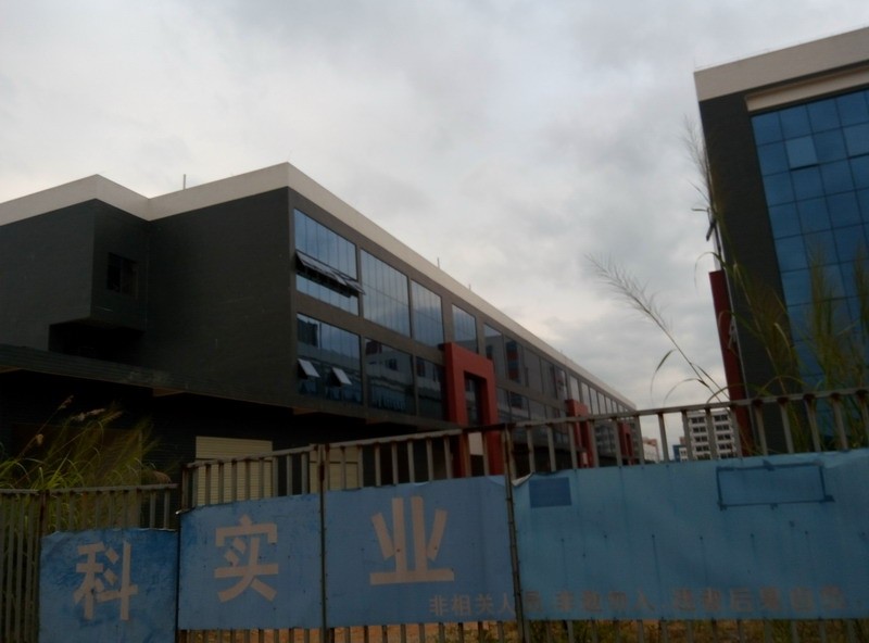 P51101-171139.jpg