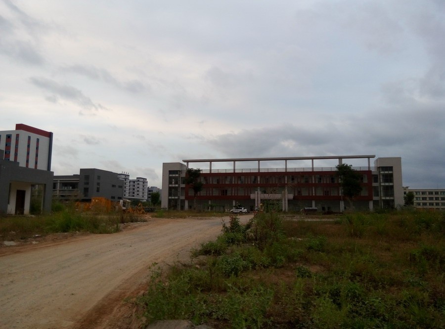 P51101-171616.jpg