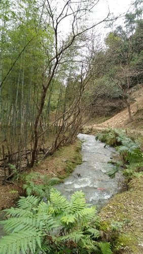 20160124_124817.jpg