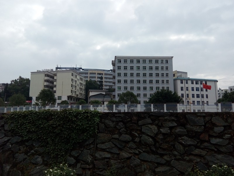 IMG_20161016_091749.jpg