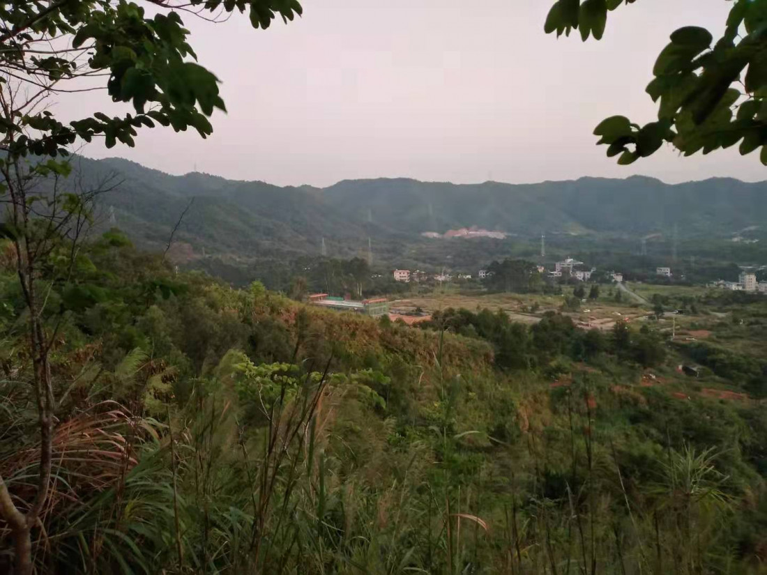 dong-shan-lin-xin-lou-2.jpg