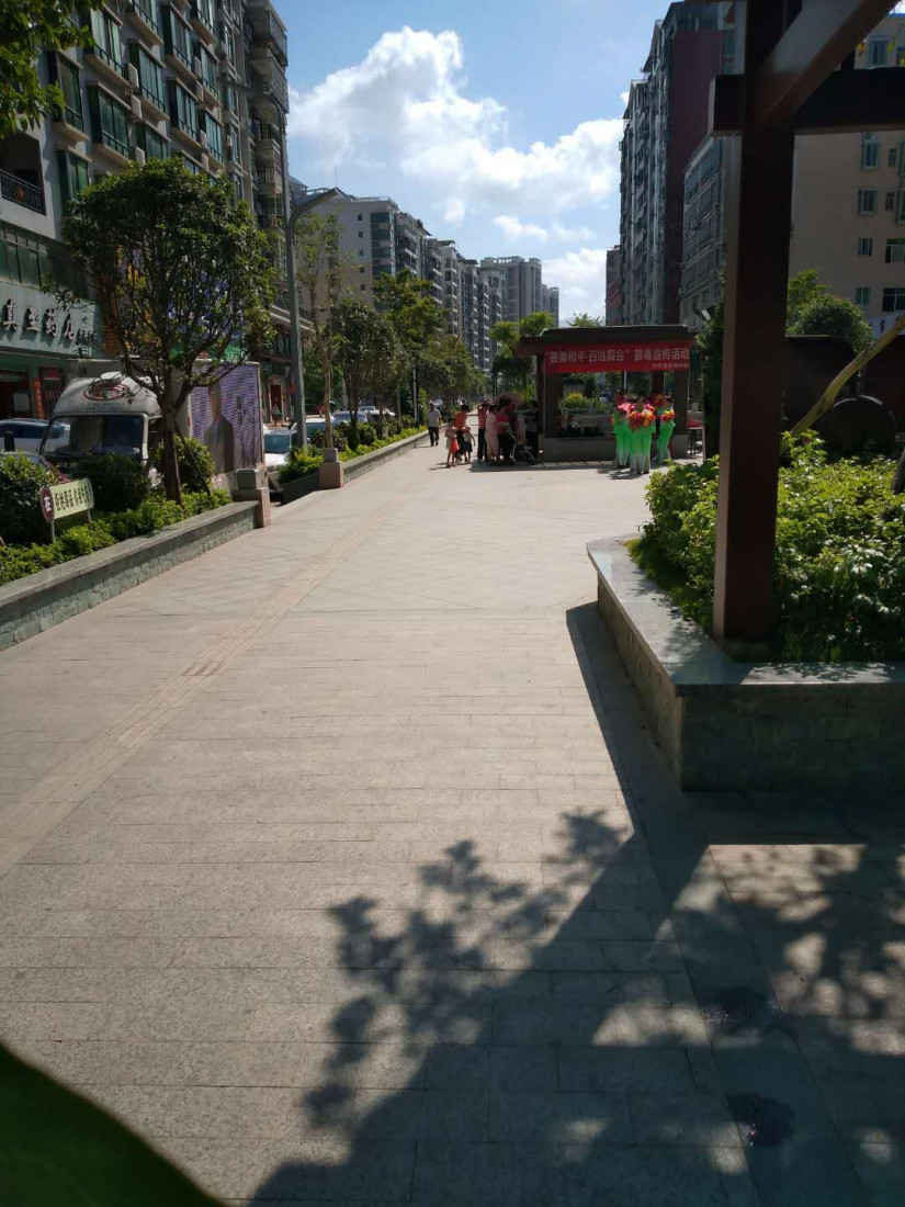 sui-pai-jin-du-2.jpg