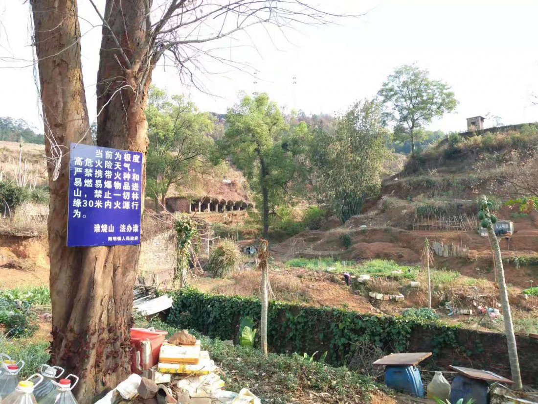 dong-shan-lin-shan-huo-guo-hou-1.jpg