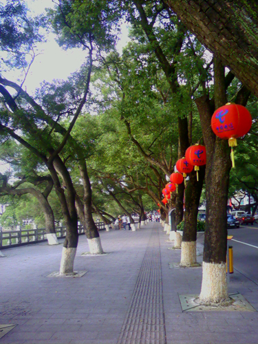 20070929_fe4a954a0b6f4b9c3f27UPM6gnJzqIFE.jpg