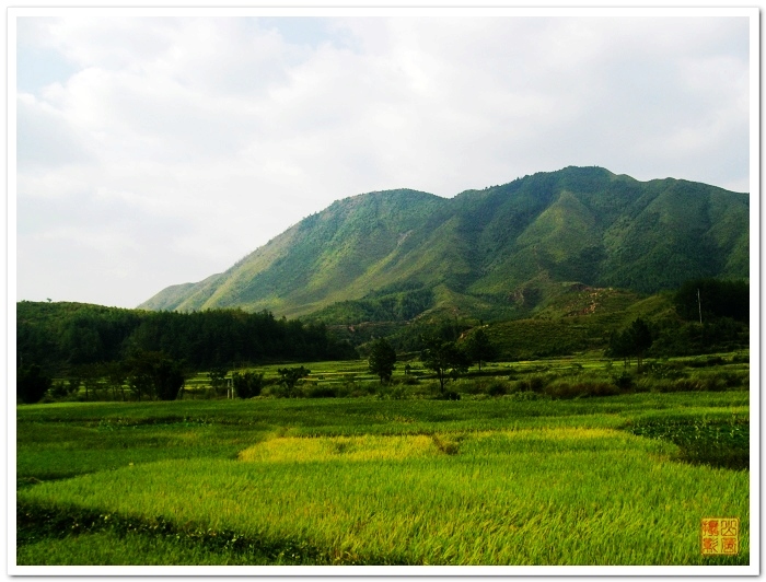 Ƭ 008.jpg