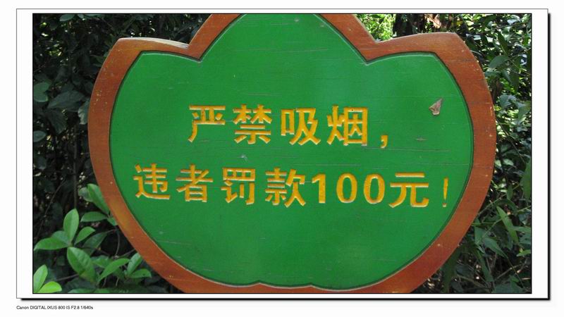 Ƭ 074.jpg