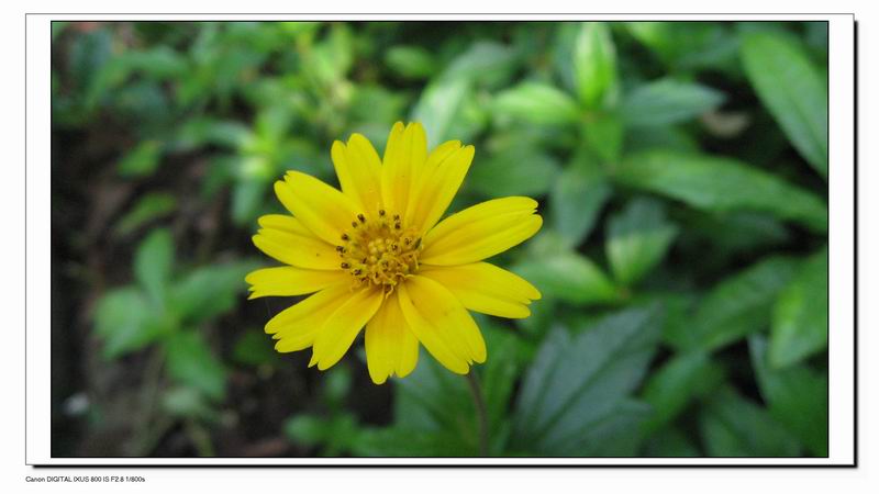 Ƭ 076.jpg