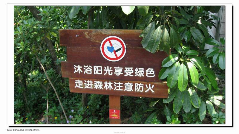 Ƭ 079.jpg
