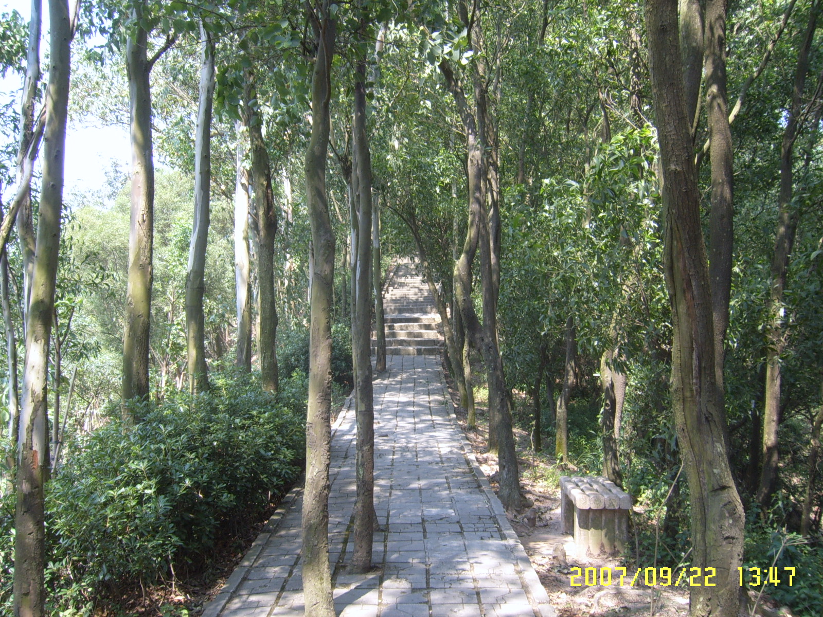 SUC52880.JPG