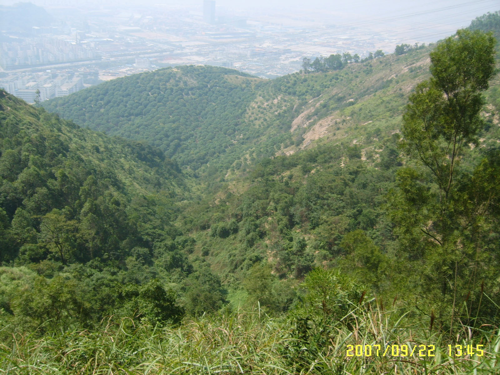 SUC52878.JPG