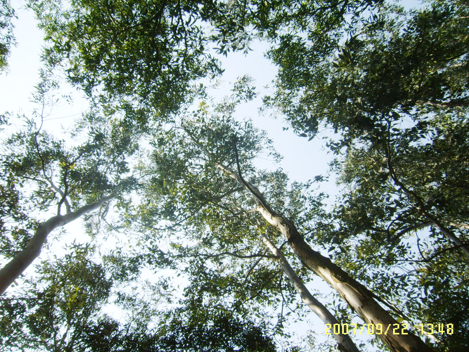 SUC52884.JPG