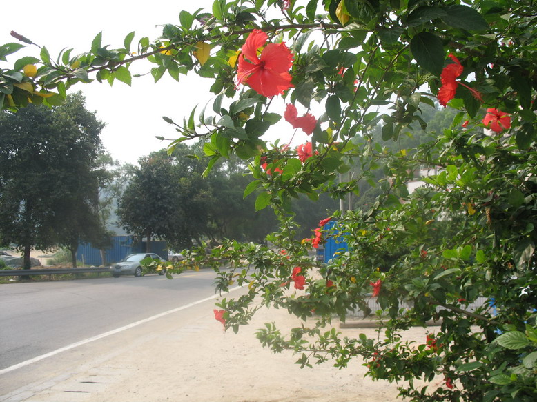 Ƭ 093.jpg