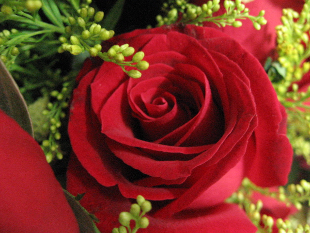 Ƭ 034.jpg