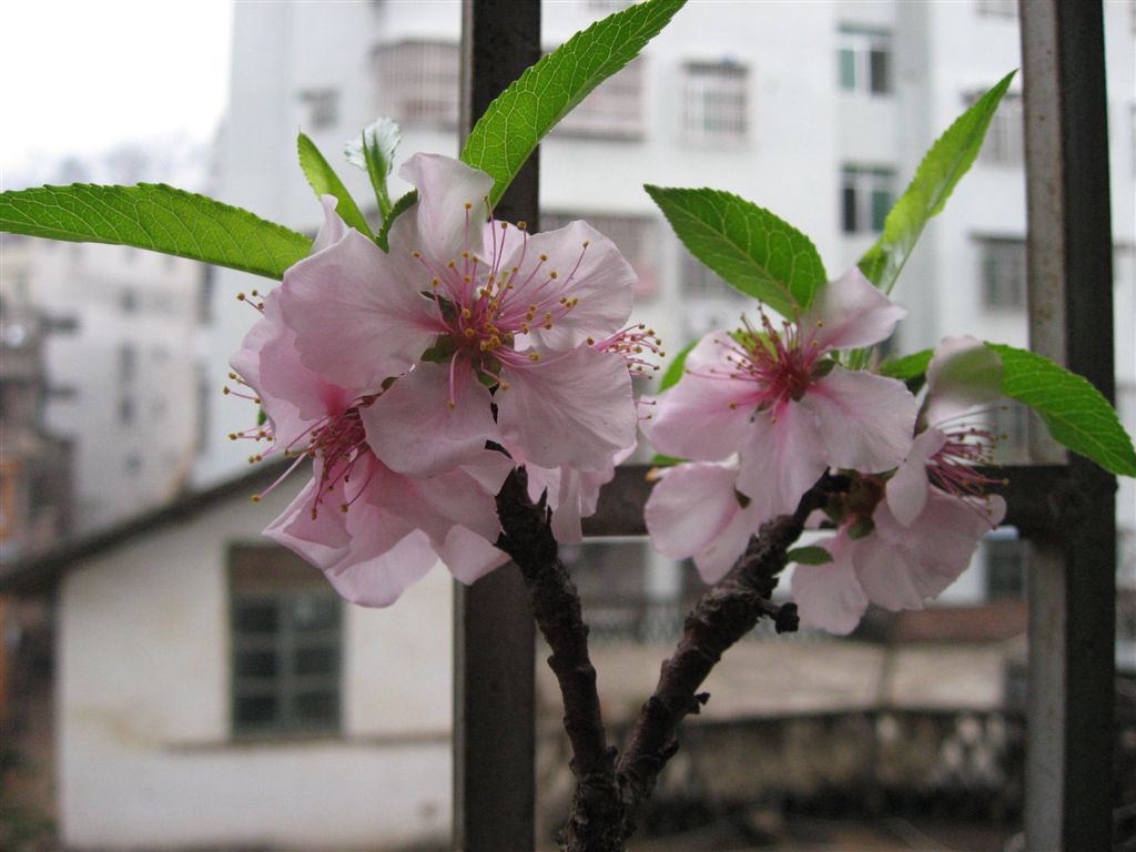 IMG_0286.JPG