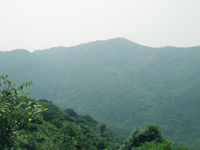 Ƭ 031.jpg