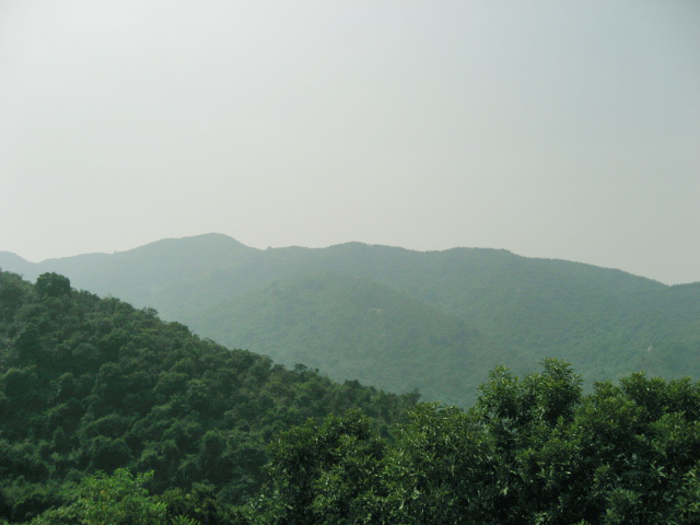 Ƭ 017.jpg