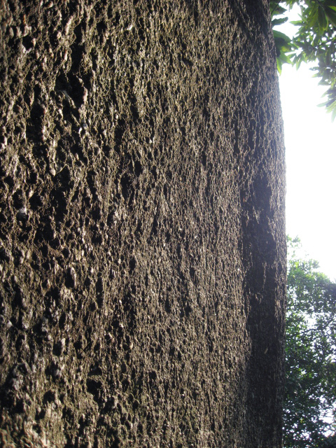 Ƭ 025.jpg