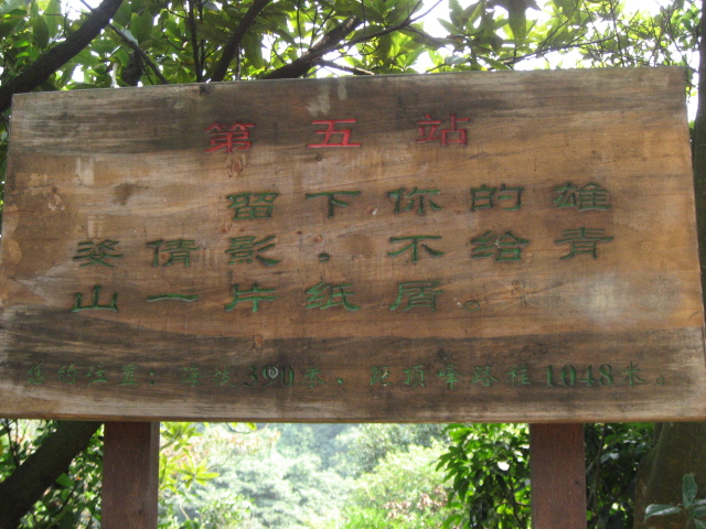 Ƭ 028.jpg