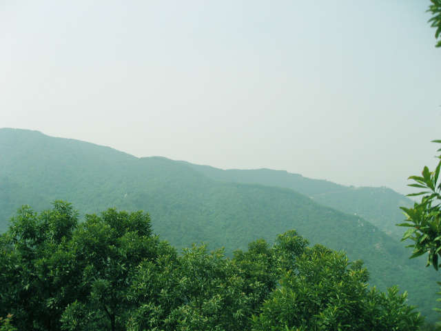 Ƭ 018.jpg