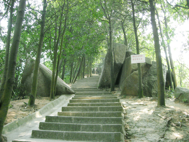 Ƭ 019.jpg