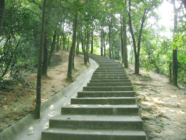 Ƭ 027.jpg
