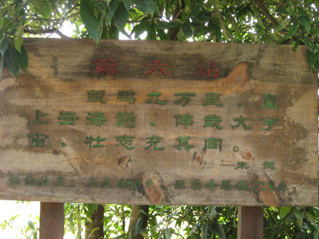 Ƭ 033.jpg