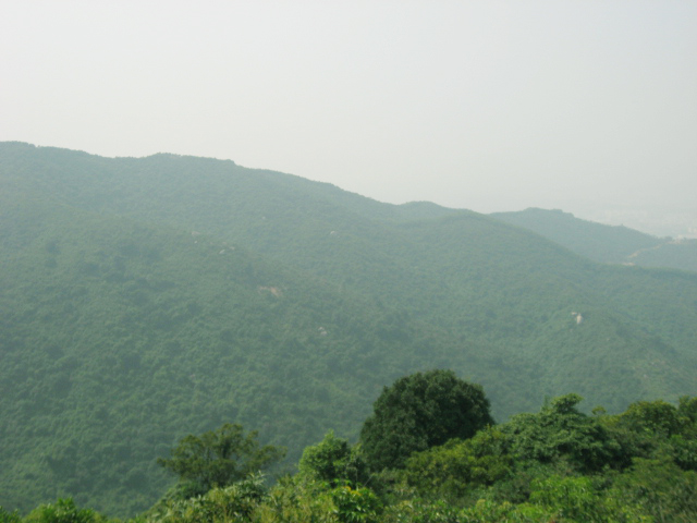Ƭ 029.jpg