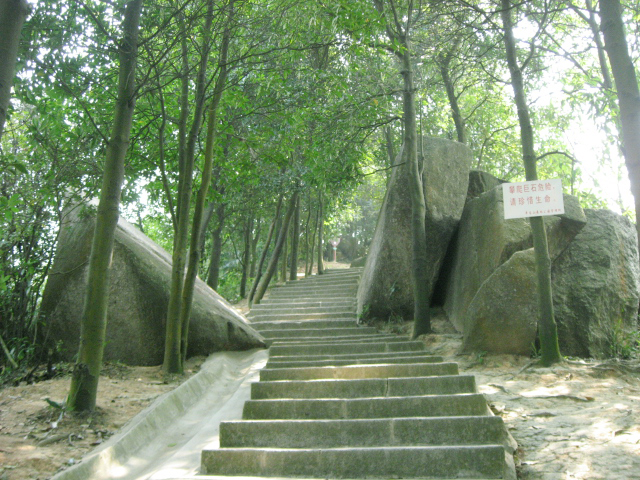 Ƭ 020.jpg