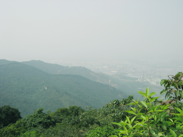 Ƭ 030.jpg