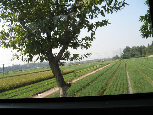 IMG_1282.jpg