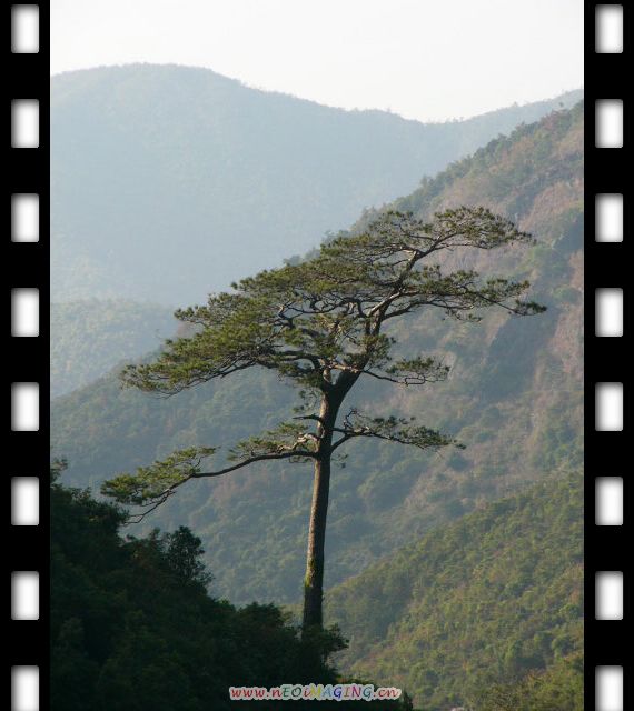 ɽӭ1.jpg