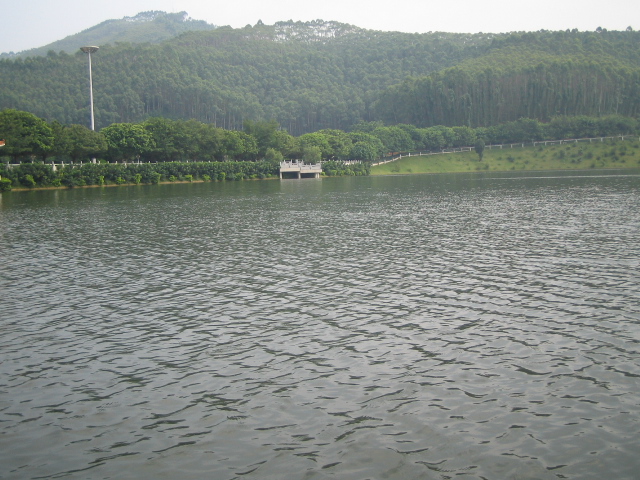 IMG_0694.JPG