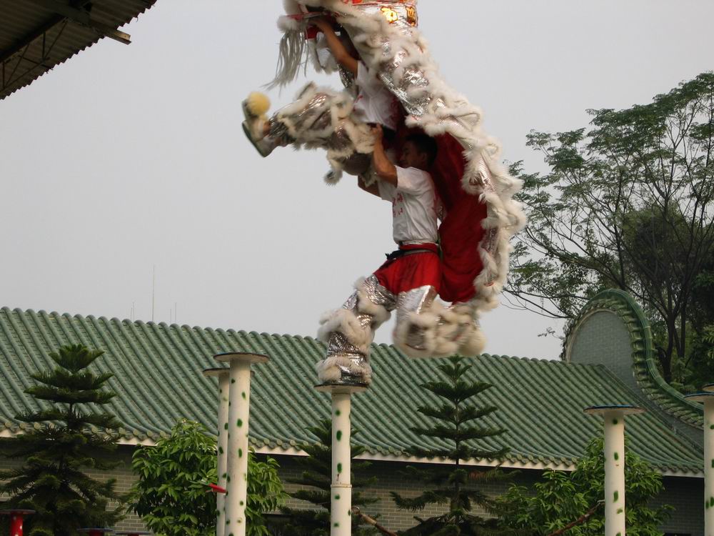 ʨ2.jpg