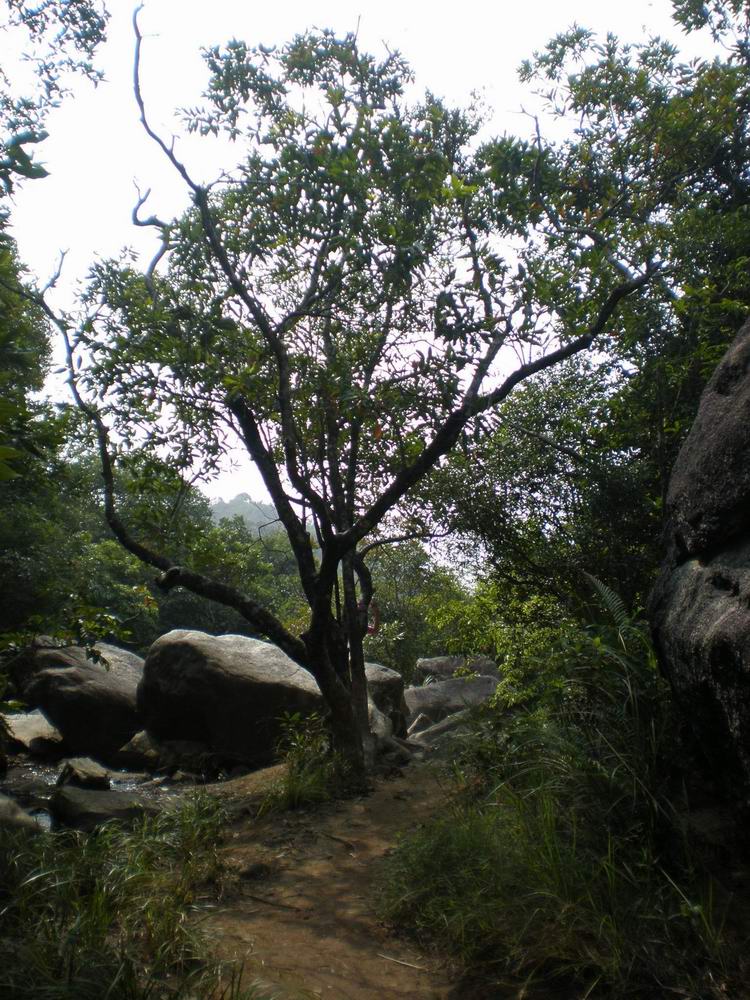 PB180095.jpg