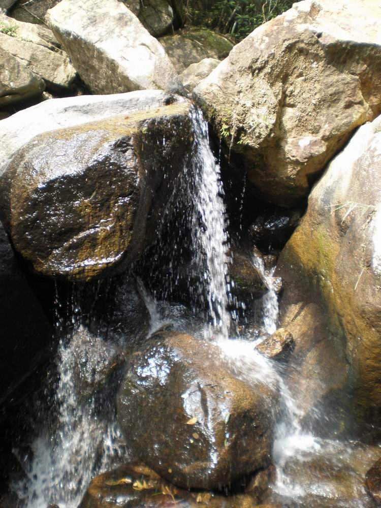 PB180068.jpg