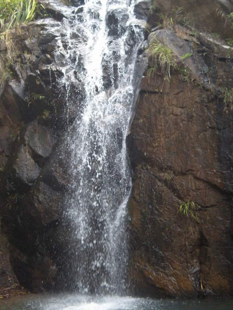 PB180089.jpg