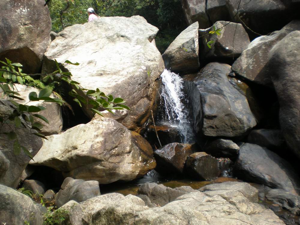 PB180099.jpg