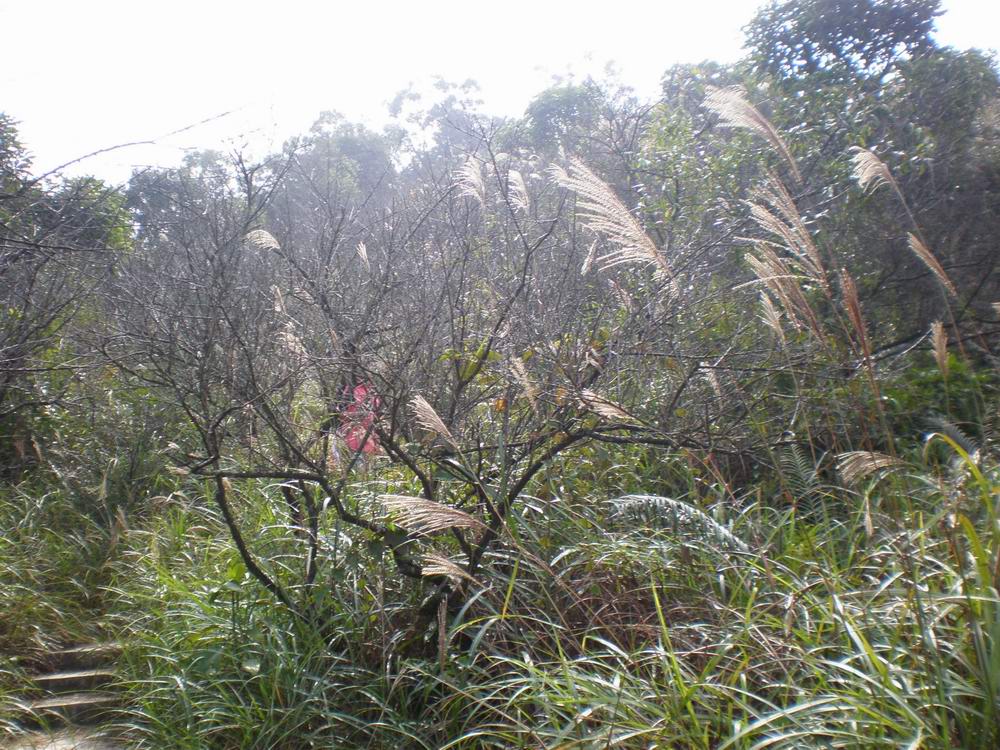 PB180143.jpg