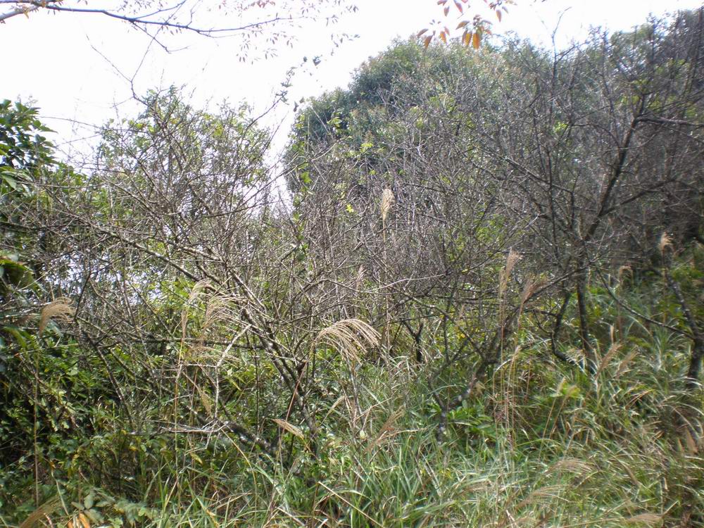 PB180142.jpg