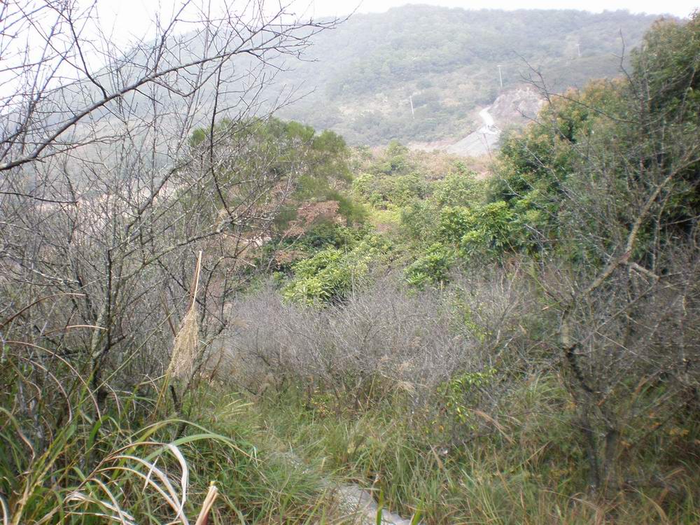 PB180151.jpg
