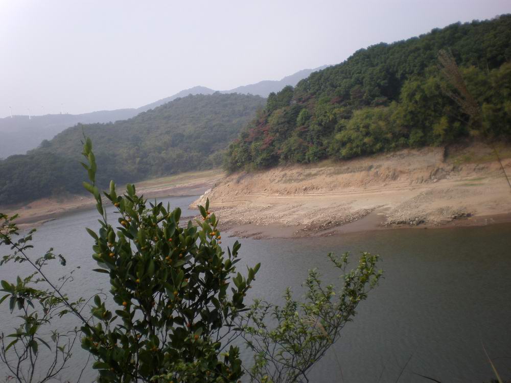 PB180159.jpg